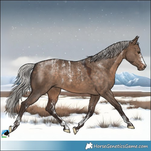 Horse Color:Powder White Silver Brown Dun 