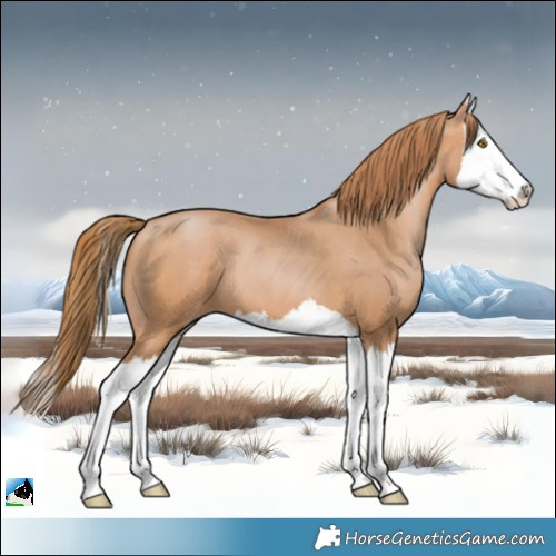 Horse Color:Bay Pearl Splash 