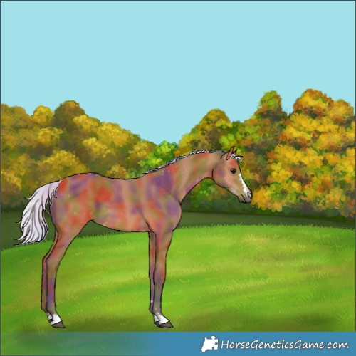 Horse Color:Nacre Silver Bay