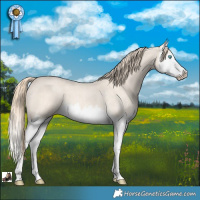 Horse Color:Perlino Roan Splash