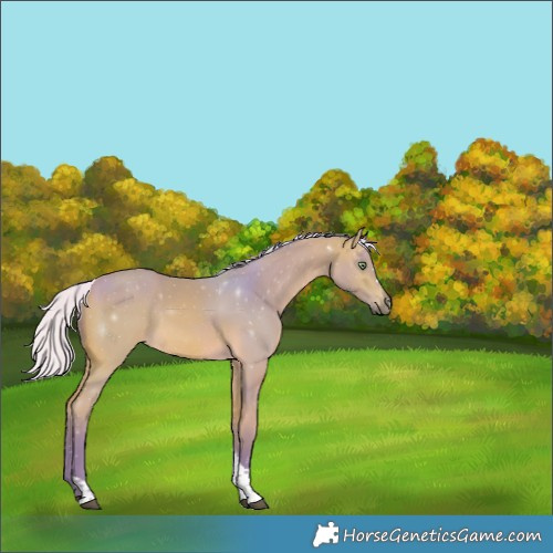 Horse Color:Watercolor Silver Buckskin Tobiano Rabicano 