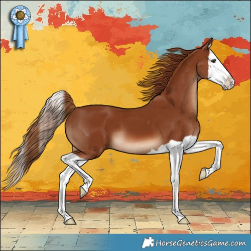 Horse Color:Chestnut Splash 