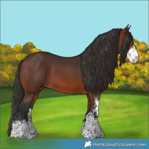 Horse Color:Brown Sabino