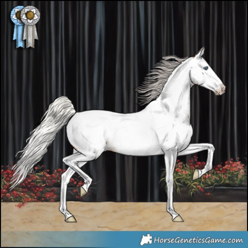 Horse Color:Silver Bay Splash Near Fewspot 