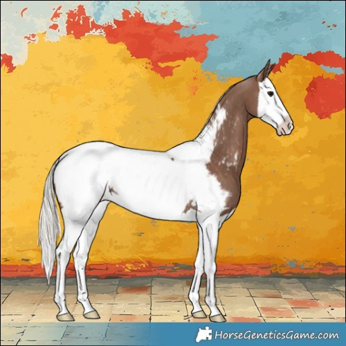 Horse Color:Silver Black Splash Near Fewspot 