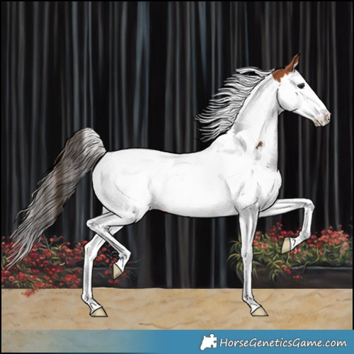 Horse Color:Bay Splash Tobiano Blanket 