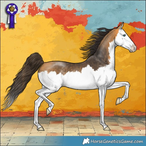 Horse Color:Buckskin Splash 