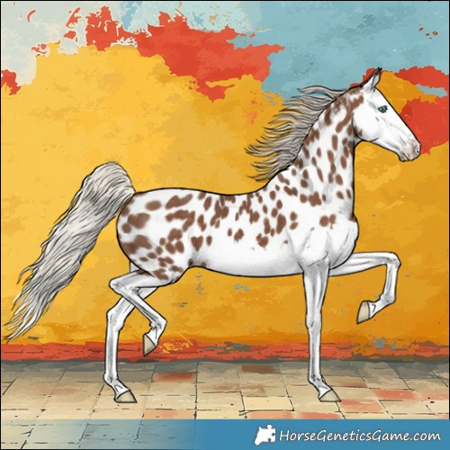 Horse Color:Silver Black Splash Appaloosa 