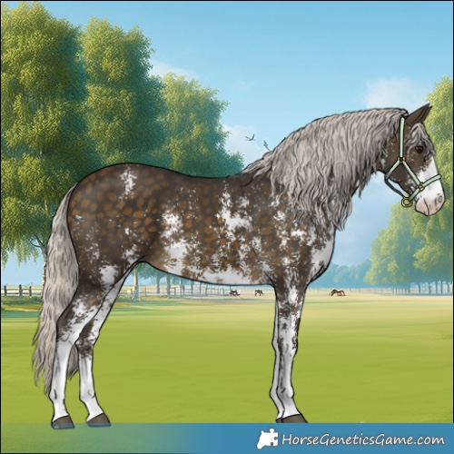 Horse Color:Silver Buckskin Sabino
