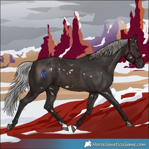 Horse Color:White Spotted Silver Brown 