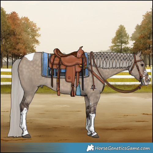 Horse Color:Silver Brown Dun Sabino Tobiano Rabicano 