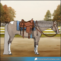 Horse Color:Silver Brown Dun Sabino Tobiano Rabicano 