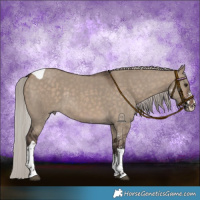 Horse Color:Silver Brown Dun Sabino Tobiano Rabicano 