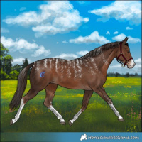 Horse Color:Powder White White Spotted Liver Chestnut