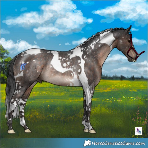 Horse Color:Brown Tobiano Rabicano 