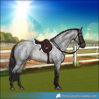 Horse Color:Buckskin Roan Rabicano 