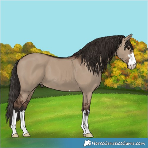 Horse Color:Liver Red Dun 
