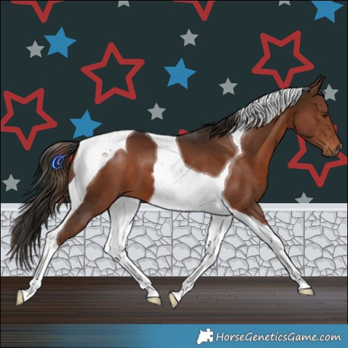 Horse Color:Liver Chestnut Tobiano 