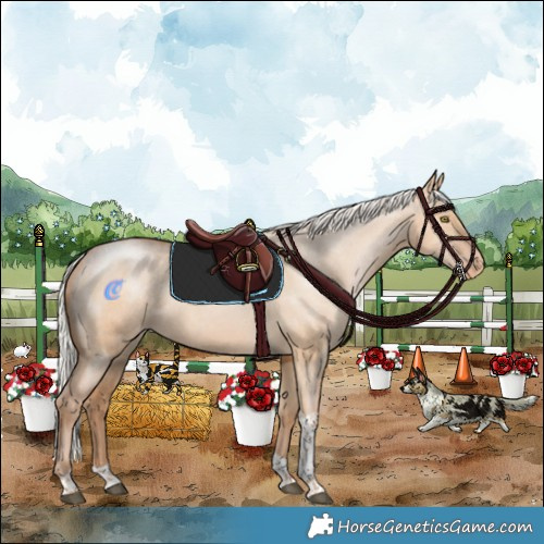 Horse Color:Silver Bay Pearl Dun Tobiano Varnish Rabicano
