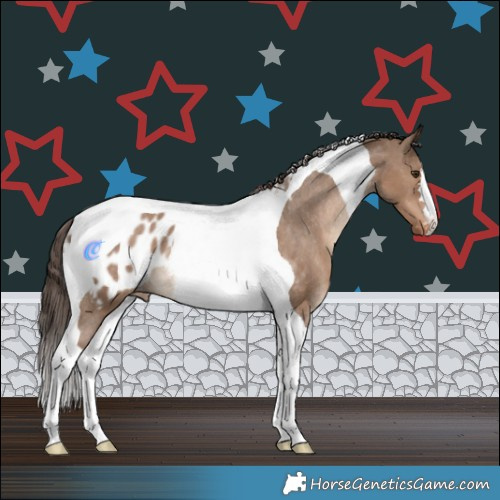 Horse Color:Liver Red Dun Tobiano Appaloosa Rabicano 