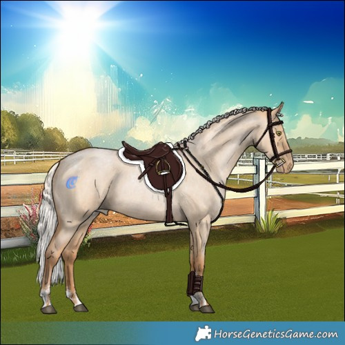 Horse Color:Powder White Silver Bay Roan Pearl Dun Rabicano 