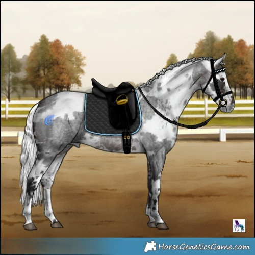 Horse Color:Brown Roan Harlequin Merle Tobiano 