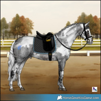 Horse Color:Brown Roan Harlequin Merle Tobiano