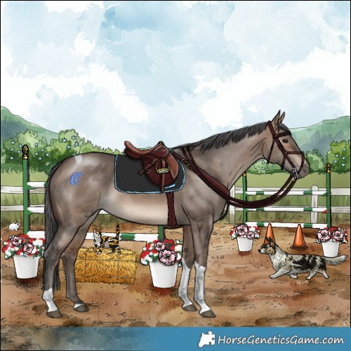 Horse Color:Bay Dun Merle Tobiano Rabicano