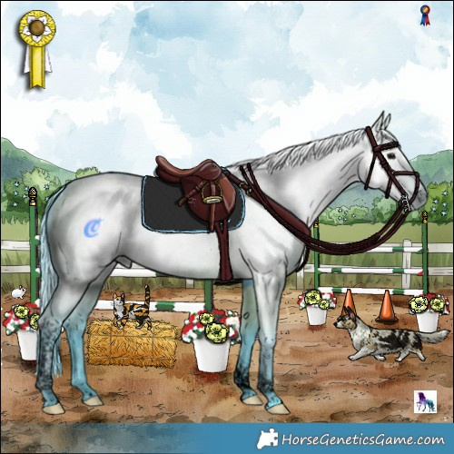 Horse Color:Gray Void Watercolor Grullo Tobiano Rabicano 
