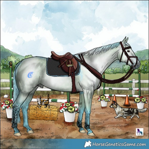 Horse Color:Gray Void Watercolor Grullo Tobiano Rabicano 