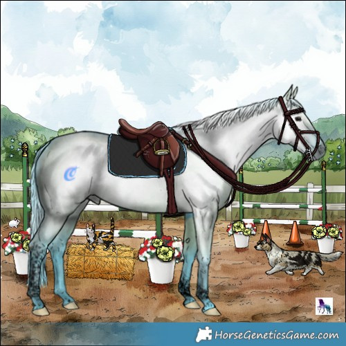 Horse Color:Gray Void Watercolor Grullo Tobiano Rabicano