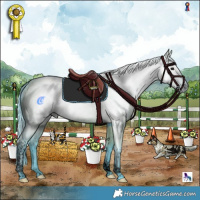Horse Color:Gray Void Watercolor Grullo Tobiano Rabicano