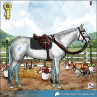 Horse Color:Gray Void Watercolor Grullo Tobiano Rabicano 