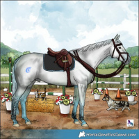 Horse Color:Gray Void Watercolor Grullo Tobiano Rabicano