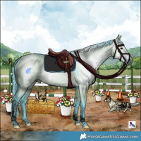 Horse Color:Gray Void Watercolor Grullo Tobiano Rabicano