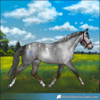 Horse Color:Powder White Gray Liver Red Roan 