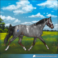 Horse Color:Powder White Gray Liver Red Roan 