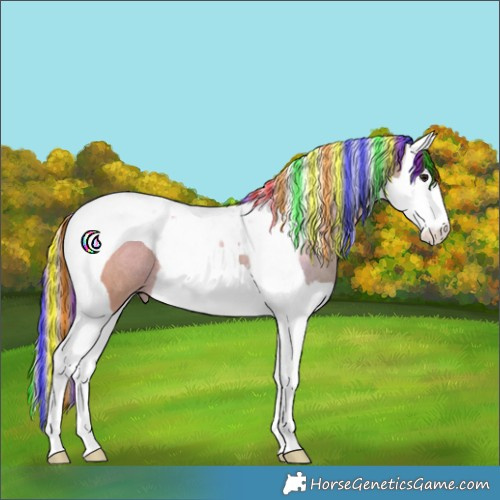 Horse Color:Painted Classic Champagne Splash Tobiano Rabicano 