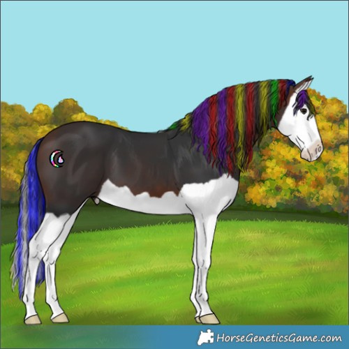 Horse Color:Painted Brown Splash 