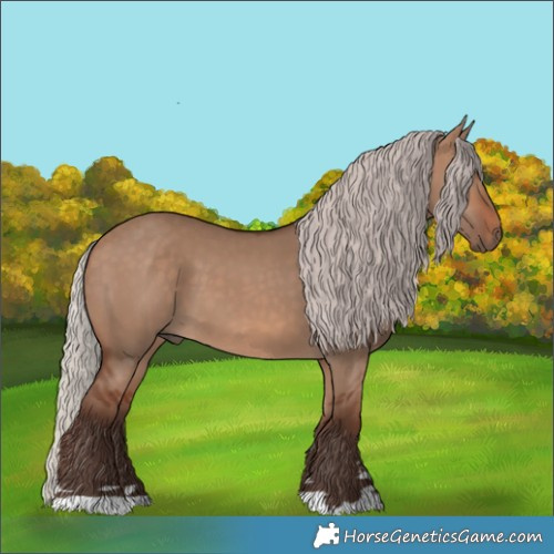 Horse Color:Silver Brown Dun 