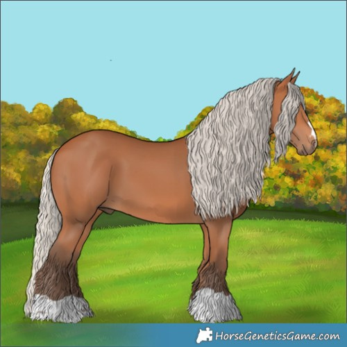 Horse Color:Silver Bay
