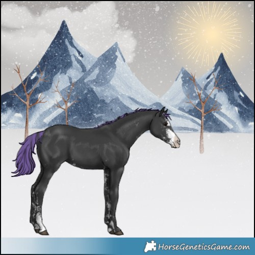 Horse Color:Painted Black Sabino