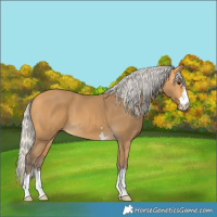 Horse Color:Silver Buckskin