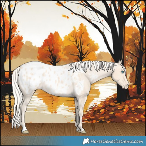 Horse Color:Cremello Blanket 