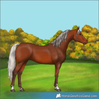Horse Color:Silver Bay 