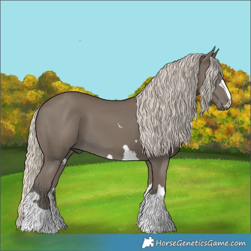 Horse Color:Silver Smoky Black 