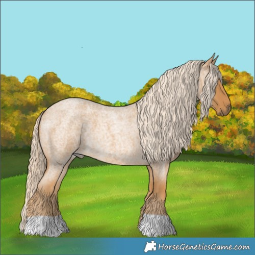 Horse Color:Palomino Roan 