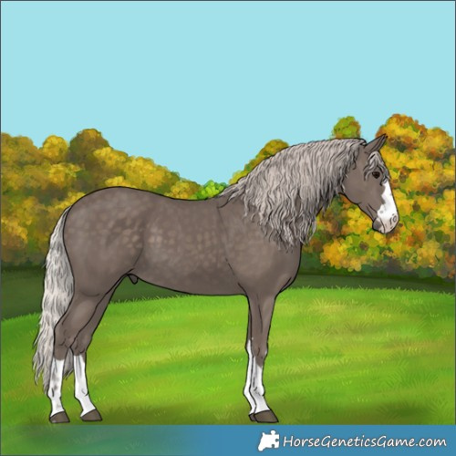 Horse Color:Silver Black 