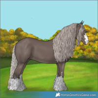 Horse Color:Silver Black