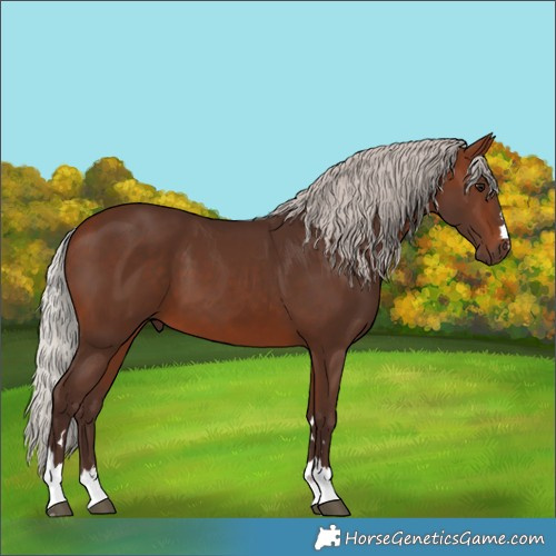 Horse Color:Silver Brown 